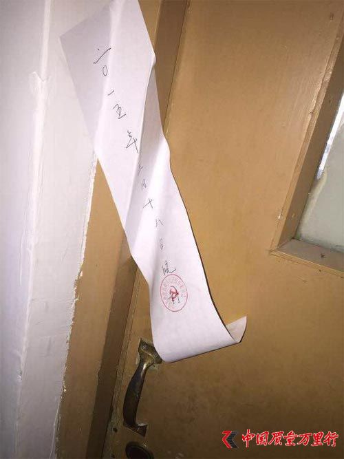 vݽ茙z߆T:M܇gz횽茿
