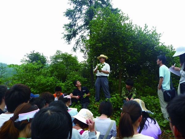 呂芳德教授在油茶林現場為學生們講解油茶載培知識