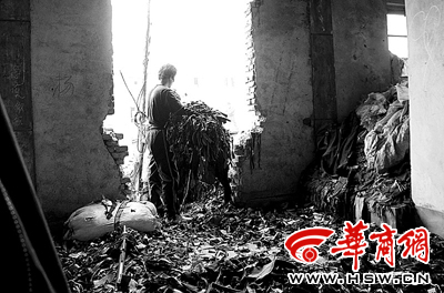 氯氣泡出雪白黑心棉老板自曝年利潤60萬(組圖)