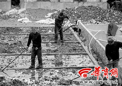 氯氣泡出雪白黑心棉老板自曝年利潤60萬(組圖)