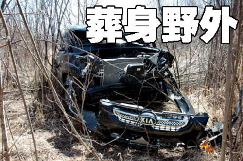 起亞(進口) 新索蘭托