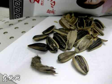 “真心瓜子”中竟吃出了毛茸茸的老鼠爪子。圖片由于同學提供 “真心瓜子”中竟吃出了毛茸茸的老鼠爪子。圖片由于同學提供