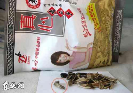 “真心瓜子”中竟吃出了毛茸茸的老鼠爪子。圖片由于同學提供 “真心瓜子”中竟吃出了毛茸茸的老鼠爪子。圖片由于同學提供