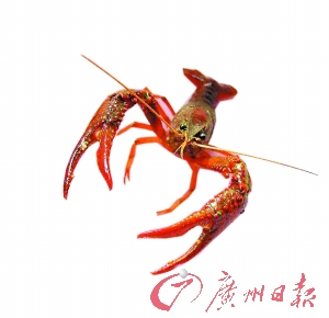 ϴr۴׻Ǐ᳣坍(MD)