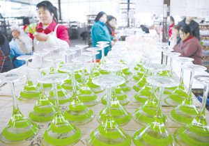 江蘇南通“首席質量官”制度取得良好實踐效果