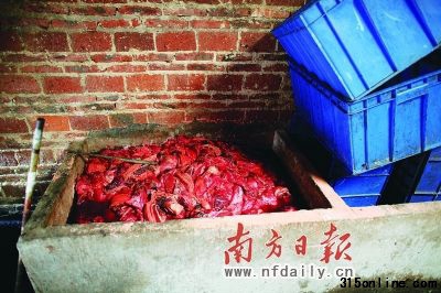 發(fā)臭豬肉泡在池中。 發(fā)臭豬肉泡在池中。
