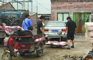 北京泔水豬肉未經(jīng)檢疫流入市場(chǎng)當(dāng)正規(guī)肉賣(圖)