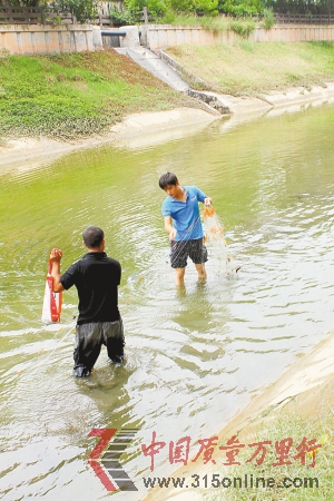 河水雖然清澈,本質卻是尾水,其中的魚類不宜食用。 河水雖然清澈,本質卻是尾水,其中的魚類不宜食用。
