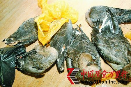 冷凍的大雁 冷凍的大雁