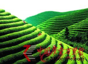 r(ji)؈44f(wn)һ W(wng)|(zh)䡰X(qin)믂ˡ
