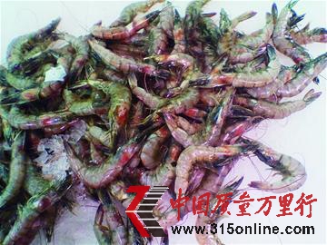 資料圖片 資料圖片