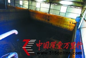工人將運到的地溝油導(dǎo)入原料池。