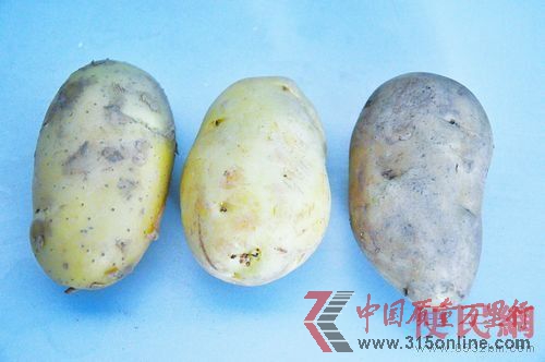 新土豆(左)“翻新土豆”(中)老土豆(右)(圖片來源:便民網)
