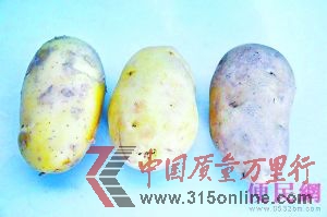 新土豆(左)“翻新土豆”(中)老土豆(右)。