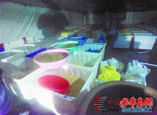 車間內臟亂不堪。 車間內臟亂不堪。