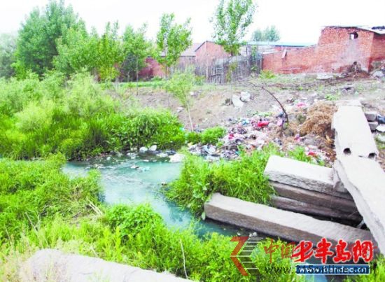 藍色頂棚的豆芽廠就在污水河旁。 藍色頂棚的豆芽廠就在污水河旁。