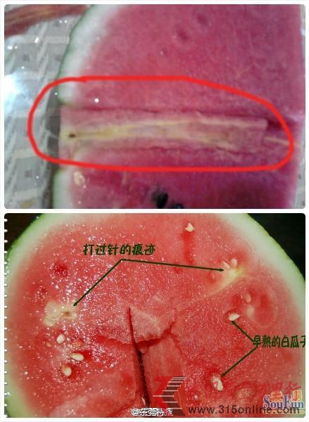 <b>網友所發疑似“打針西瓜”</b> <b>網友所發疑似“打針西瓜”</b>