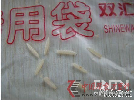 網曝雙匯肋排燙出蛆蟲 公司稱確有“白點”但需鑒定(微博供圖)。 網曝雙匯肋排燙出蛆蟲 公司稱確有“白點”但需鑒定(微博供圖)。