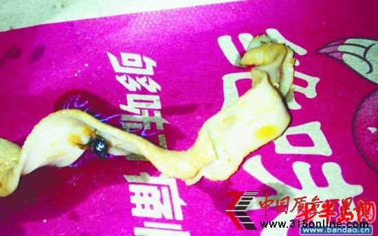 7月11日,張女士買的鴨腸里裹著一只沾滿油水的死蒼蠅。 7月11日,張女士買的鴨腸里裹著一只沾滿油水的死蒼蠅。