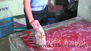①從惡臭腌制池拿出的死魚。