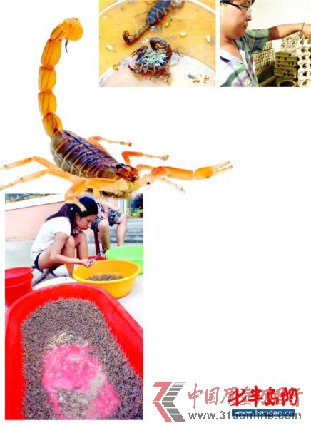 ĸЫӮaµСЫ uбPĶЫ BֳĹˆTЫ