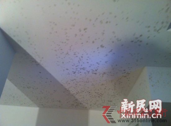 綠地薔薇四季的多套別墅出現滲水,天花板發霉。新民網記者胡彥珣 現場回傳