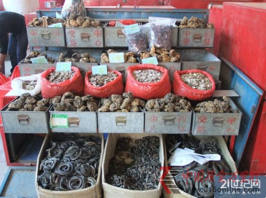 市場上的藥材 市場上的藥材