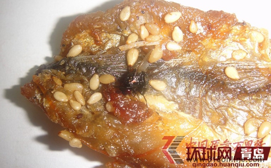 烤魚片上的死蒼蠅 烤魚片上的死蒼蠅