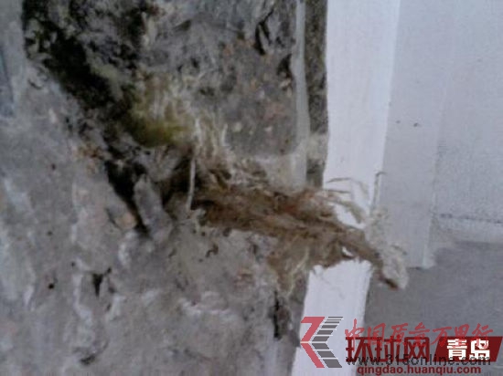 青島萬(wàn)科城墻體露出的編織袋垃圾 青島萬(wàn)科城墻體露出的編織袋垃圾