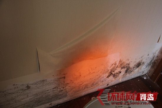 青島萬科城墻壁發霉 青島萬科城墻壁發霉