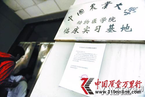 動物醫院門口貼出停業通告 ■攝影/本報記者 袁藝