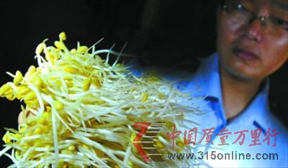 “問題豆芽”加工過程中添加了許多違法添加劑 本版圖片均為晚報 王浩然 資料圖片 “問題豆芽”加工過程中添加了許多違法添加劑 本版圖片均為晚報 王浩然 資料圖片