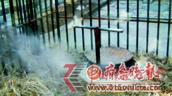 自管站截留熱量賺差價:暖流被阻隔在最后幾百米