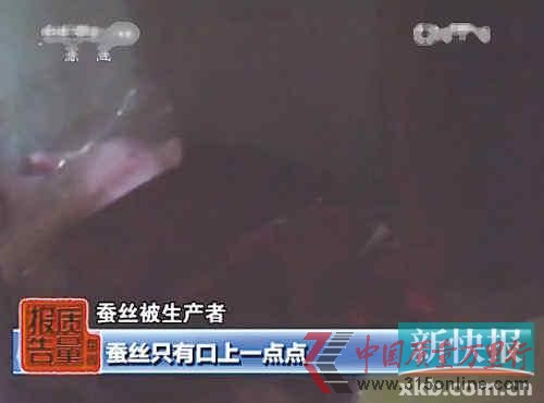 視頻截圖。
