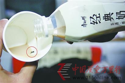 田先生喝的經(jīng)典奶茶中有一只蒼蠅。