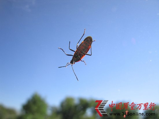 ΢ܛl57ȫa ׽BUGȸ蹤̎ؕI^