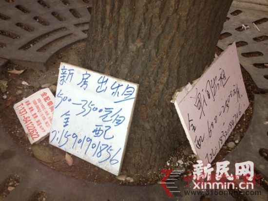 圖說:在打人事件發生10天后,群租活動和招租廣告依然毫不避諱。新民網記者 沈文林 攝
